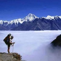 rojesh (@surdesh1) 's Twitter Profile