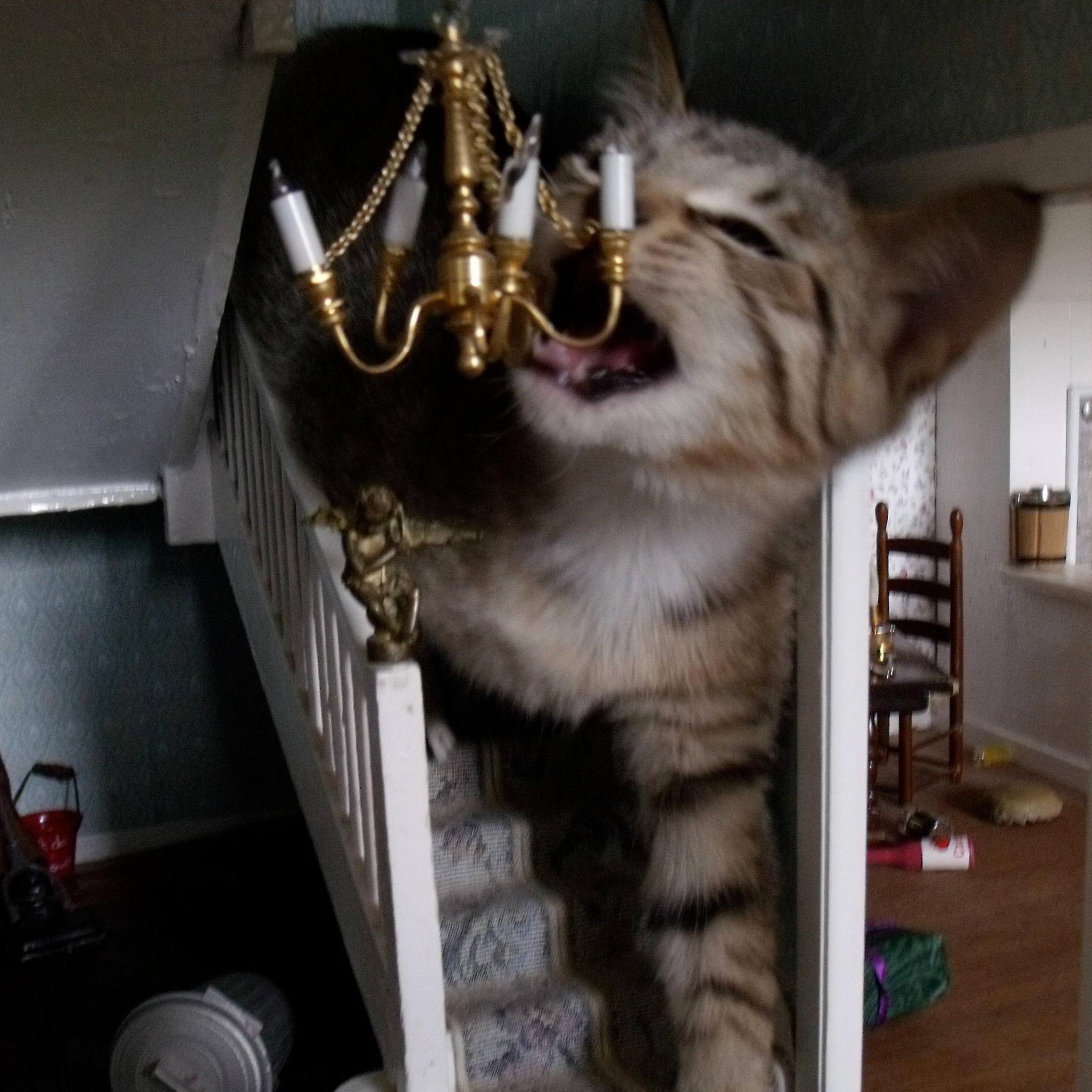 syljas's profile picture. 