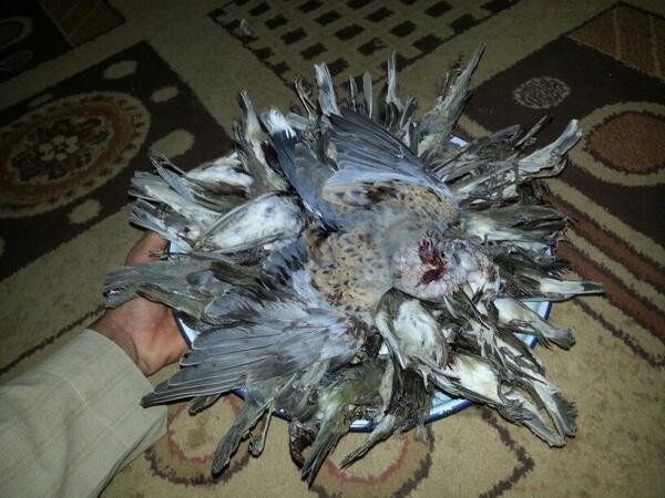 Jdjdjurfjnf's profile picture. 