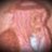 kaskhaled47's profile image