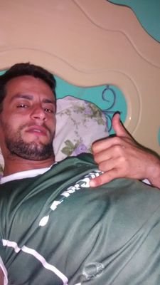 o palmeiras não caiiii