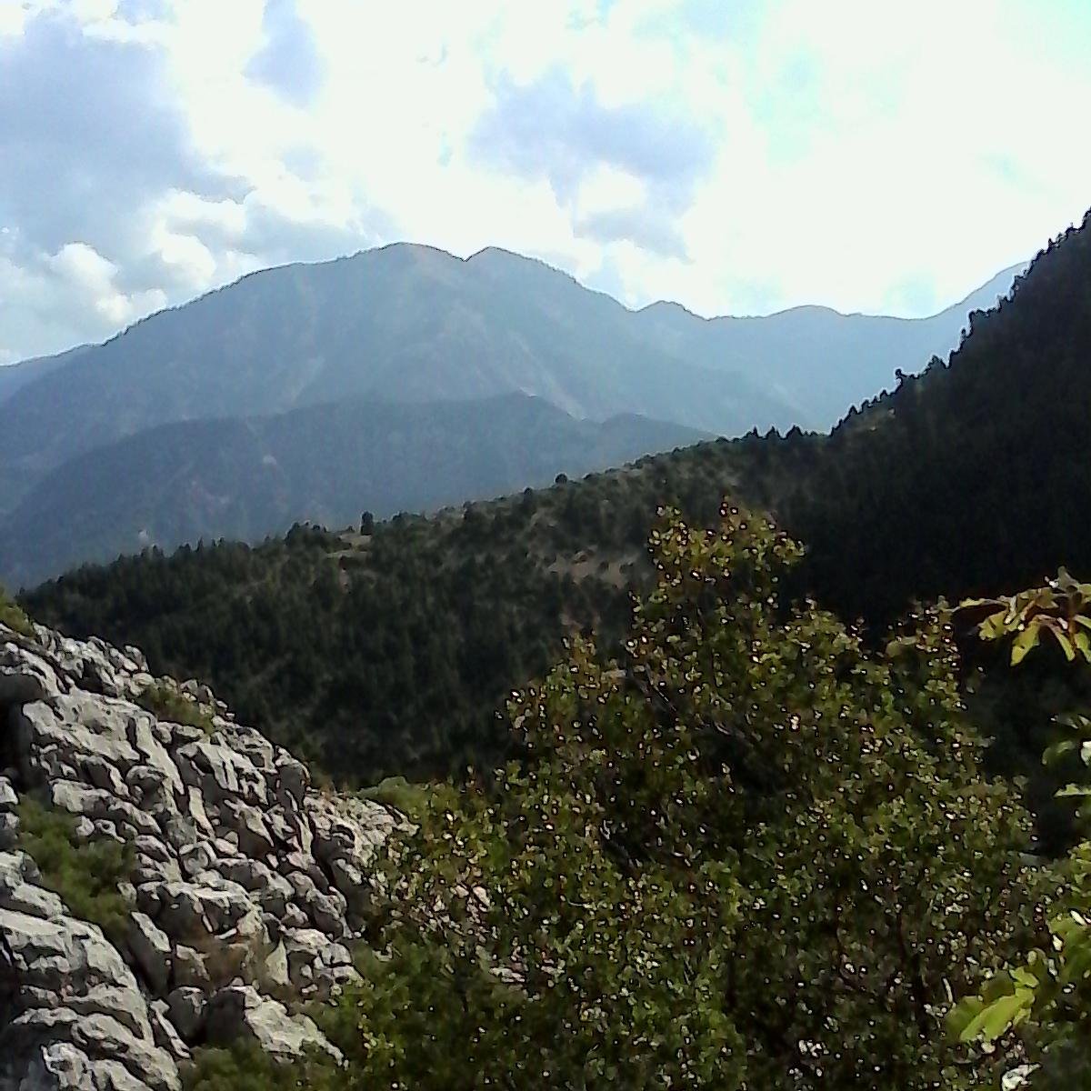 aretousaki's profile picture. τα ταξίδια είναι η ζωή μου.📷📷🚂🚄✈🚲⛵🌹🌼🌻🌹🌳🌲