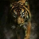 alejandro hermosillo - @alexhc72 - Twitter