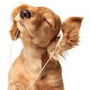 jack ireland - @j4ck_ir3l4nd - Twitter