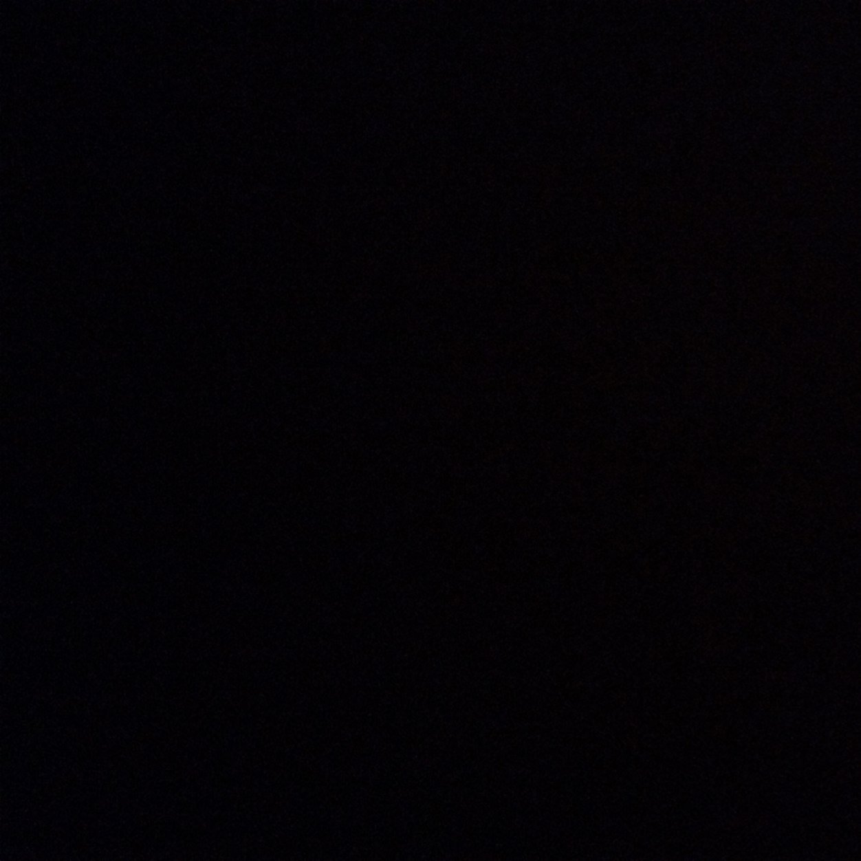 Insta : Marrydenhaag