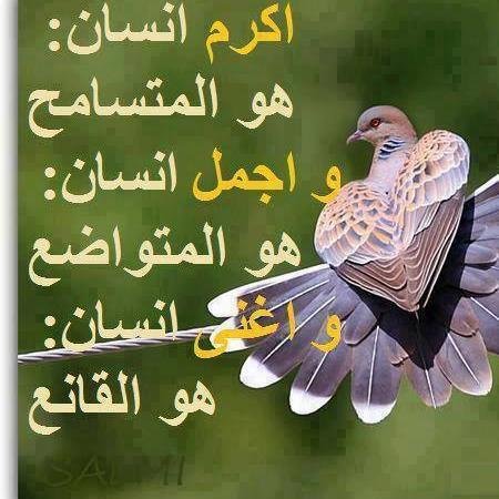 machbouh's profile picture. 