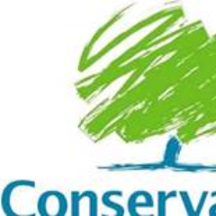 The official twitter account of Kew Conservatives, Southport. Promoted by & on behalf of J Shandley of 51A London Street Southport
