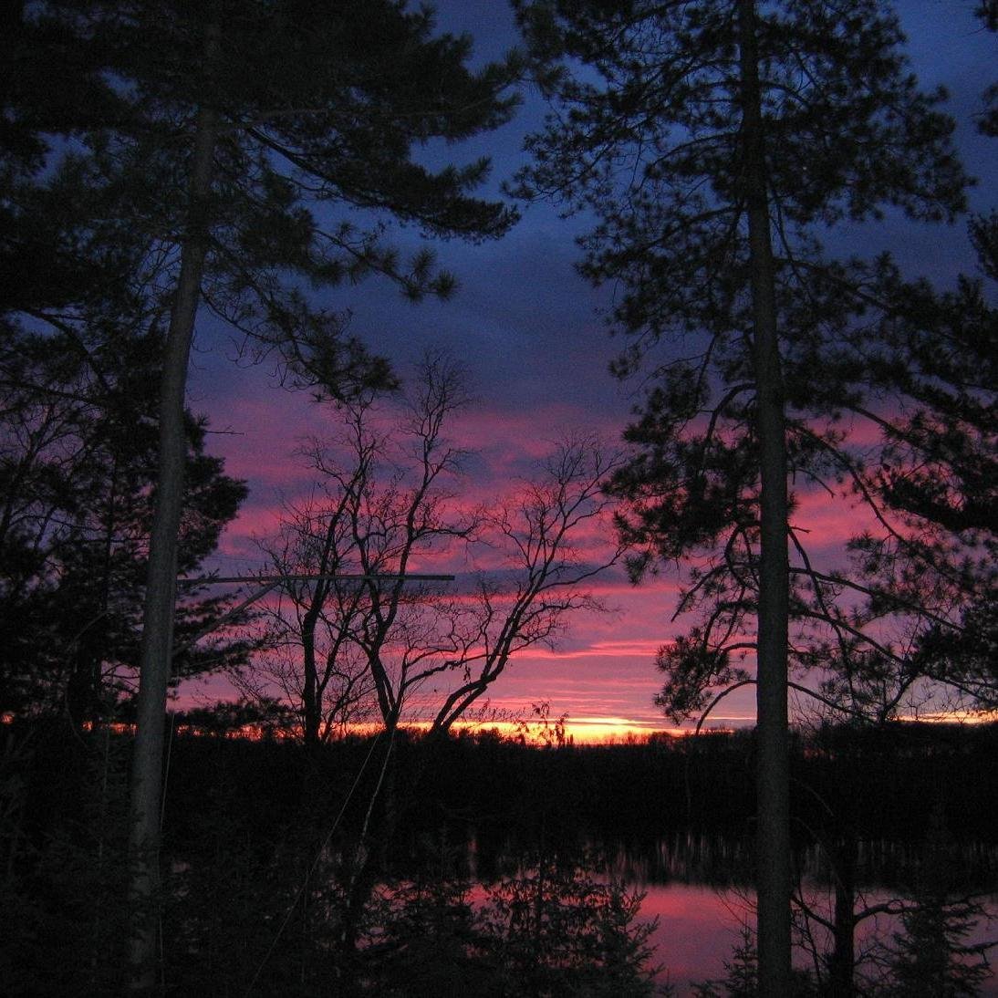 Charter_Roots's profile picture. Sussex County Charter School Principal