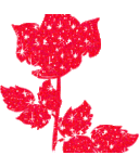 Katy Rainey - @krainey123 - Twitter