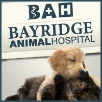 Bayridge Animal Hospital is a full service veterinary hospital serving the Kingston area. Our pateints include both felines and canines.