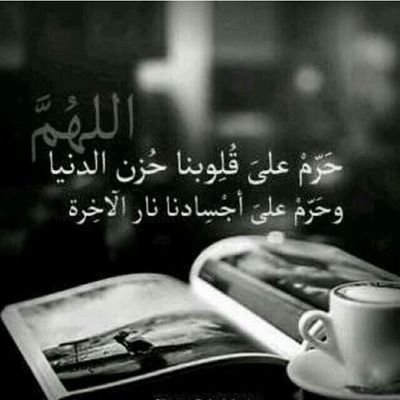 mo5mo3's profile picture. 