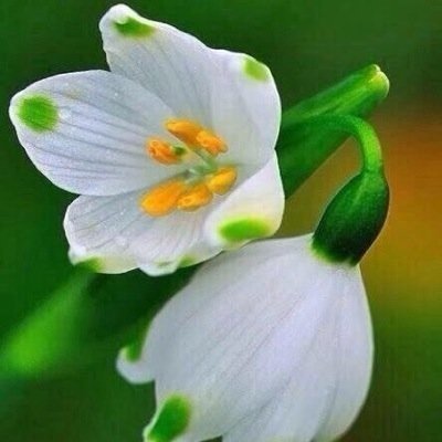 https://t.co/WKoU0pvGuq موقِع مسؤل ينزل عنك بالتويتر كل يوم آية قرآنية حتى لو كنت نايم او في قبرك او ماكنت ع التويتر اللهم اجعله شفيعاً لنا يوم القيامه