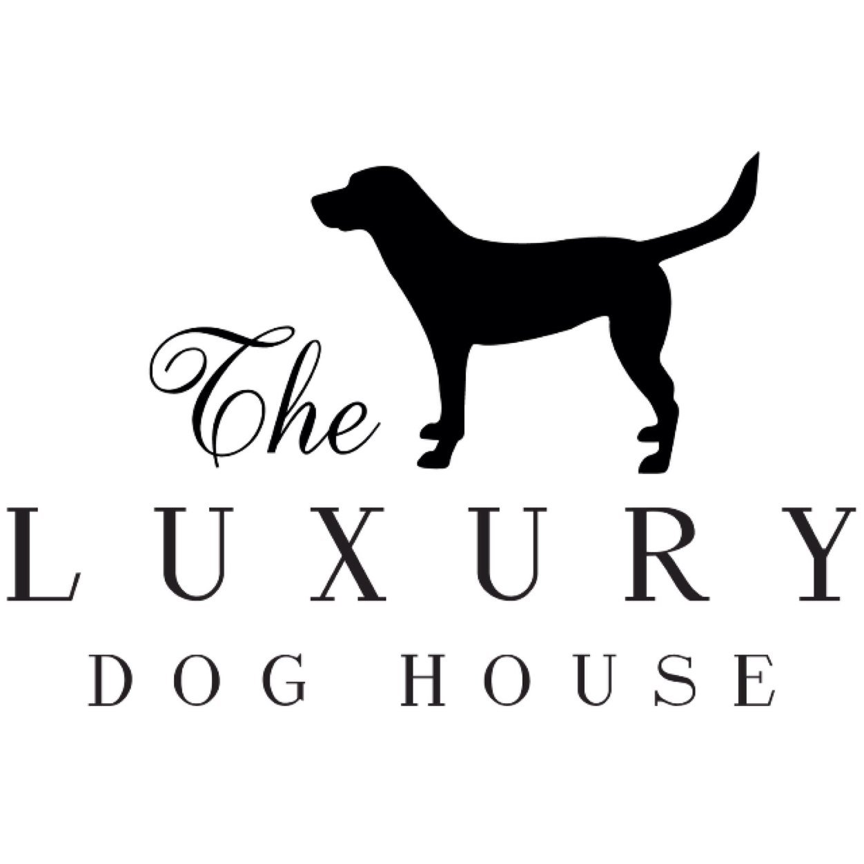 Beautiful Handmade in England Dog Collars, stunning on trend designs! Email info@theluxurydoghouse.co.uk