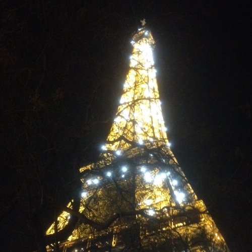 lapetitecarine's profile picture. 