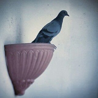 Hello! -
 Saudi Arabia-jeddah
اPossible Follow me
الحمدلله حمداً كثيراً !#