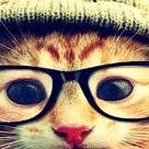 Segue aêw, sigo de volta a todos... Minhas redes siciais http://t.co/wAkAsx5ysi http://t.co/ySuCOmQMJ9