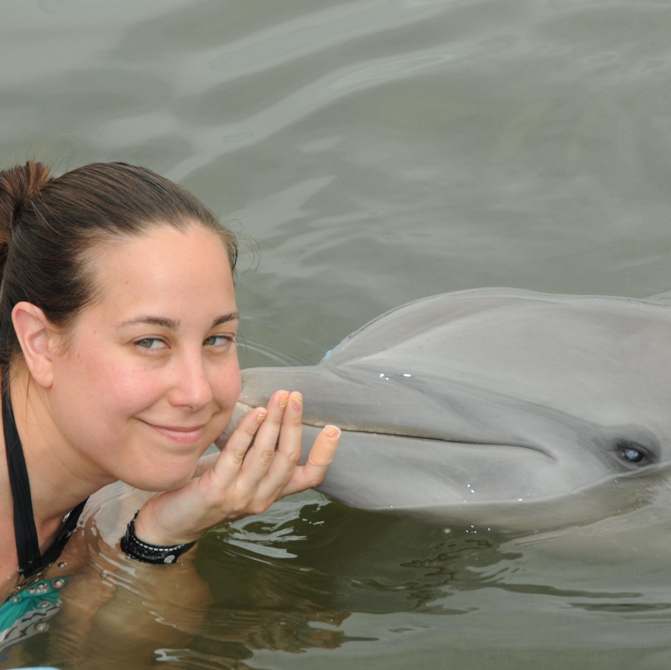 JennyShook's profile picture. Teaching Statistics with technology at PSU, always interested in improving my methods of teaching, my methods of living / health, and my role as a wife.