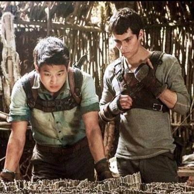 Stydia 100% ❤️ The Maze Runner ❤️ Imagine my follow botton is Dylan's ass, i know you want to touch it//@dylanobrien is my Batman/@hollandroden is my queen/5SOS