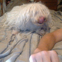 wesley bender - @wesleybender024 - Twitter