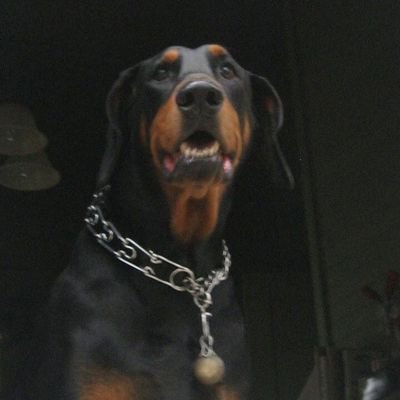 jchjrcpa's profile picture. 