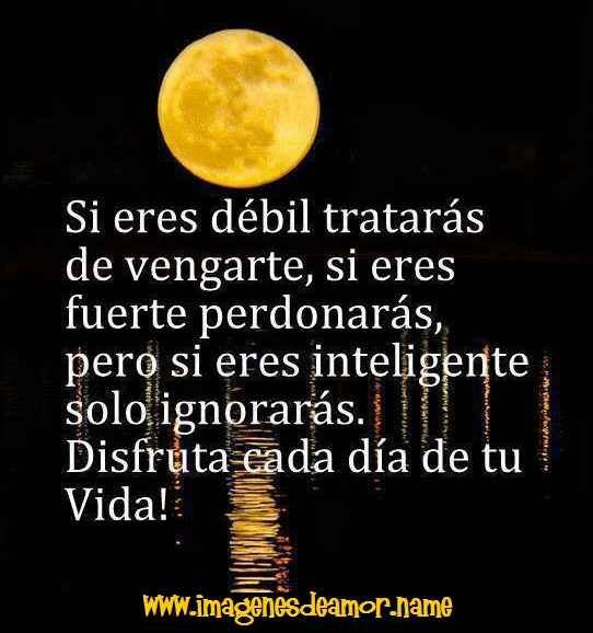 sergio561993's profile picture. churriana de la vega