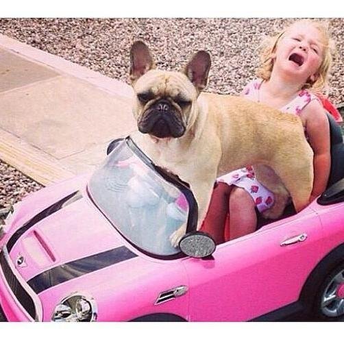 CandiceAshton's profile picture. @hulu PR