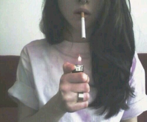 secretfamilycat's profile picture. So lovely