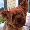 Alan Sills - @SillsAlan - Twitter