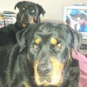 will stephenson - @willster02 - Twitter