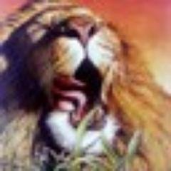 jaymcb74's profile picture. 