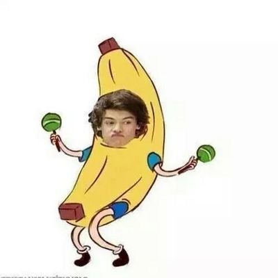 Sim, meus ídolos são gays, próximo argumento? directioner, lovatic, Lbs, mixer e flyer