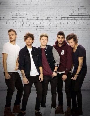 Directioner,mixer,reader,gaticornio,fangirl y criatura de la noche *lol*