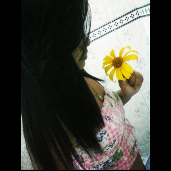 modelo