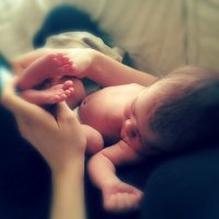 All Things Maternal (@allthingsmat) 's Twitter Profile
