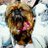 TollyGriffon's profile image