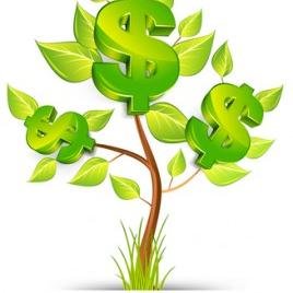 Account Executive, MonetizeMore