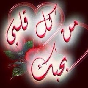 baderalkraedes's profile picture. 