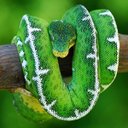 Devon Roberts - @devonroberts19 - Twitter