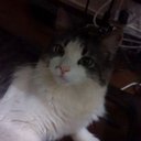 Nathan Rojas - @5f057aee4cfa4a5 - Twitter