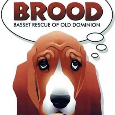 BROOD (Basset Rescue of Old Dominion) is a nonprofit basset hound rescue organization serving VA, MD, DC, WV & parts of DE and southern PA. DM only about dogs.