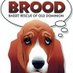 BROOD (@broodva) Twitter profile photo BROOD (@broodva) Twitter profile photo