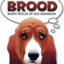 BROOD (@BROODva) Twitter profile photo