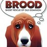 BROODva's profile picture. BROOD (Basset Rescue of Old Dominion) is a nonprofit basset hound rescue organization serving VA, MD, DC, WV & parts of DE and southern PA. DM only about dogs.