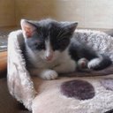 chris atwell - @cj_atwell - Twitter