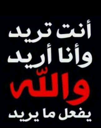 bnbaaio's profile picture. 