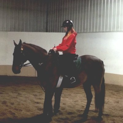horses are basically my only friends ••••••••••••• ||200+ days clean|| •••••••••••••••••••••••••••••• uhm what do i even put here? •••••••••••••