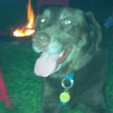 allan archer - @Archerarcher15 - Twitter