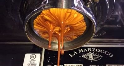 VendittiTony's profile picture. The thirst for knowledge lies in an extraordinary espresso.