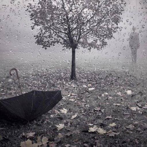 quevedodi26's profile picture. Biblia , café y un buen libro