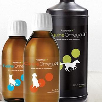 Makers of CanineOmega3, FelineOmega3 & EquineOmega3! Learn what Omega-3 can do to improve your pet's health today! http://t.co/NQttmY4YpM